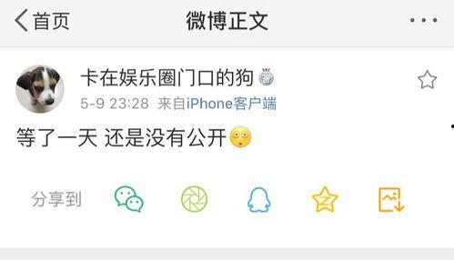 爆料吃瓜热门文案,最新爆料吃瓜文案，带你领略明星幕后故事